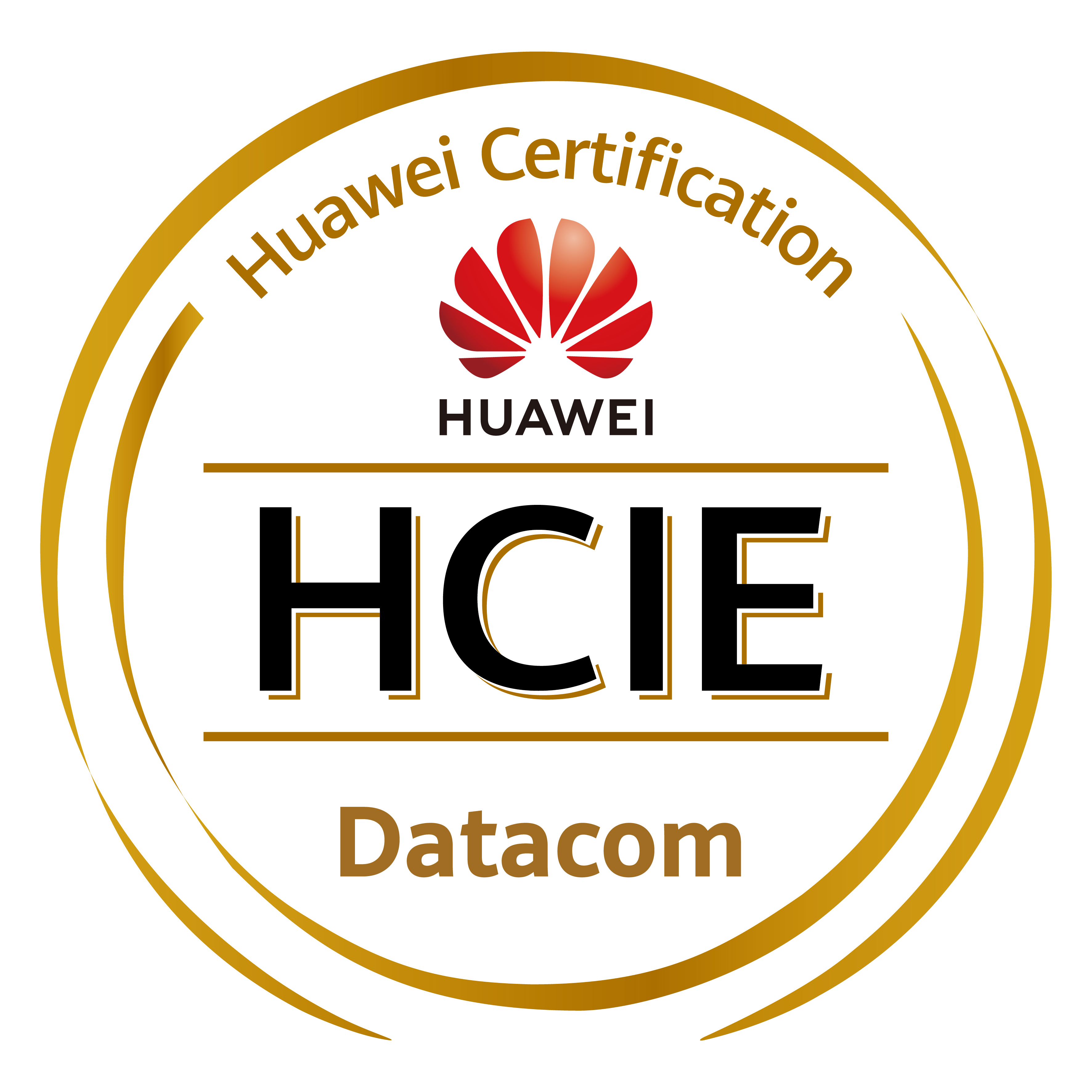 华为数通HCIE-Datacom线下大班